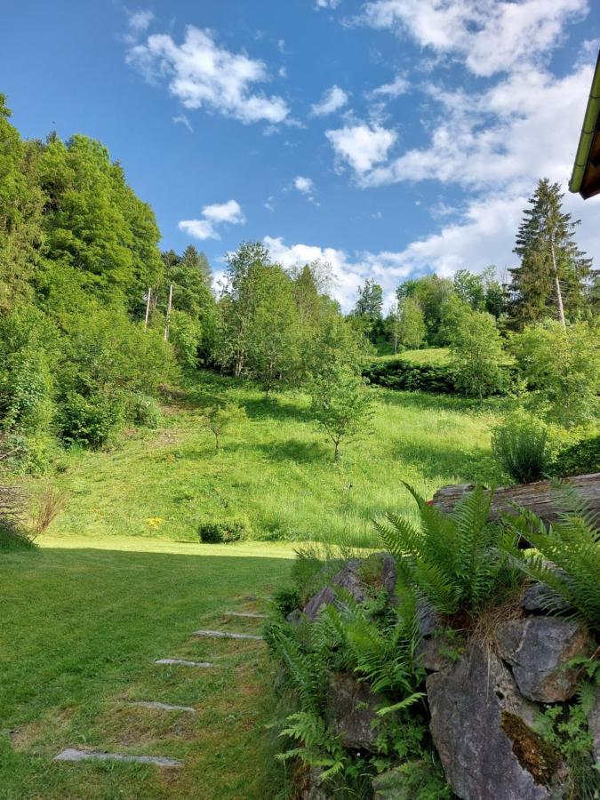 Chalet Peter Zell am See Exterior foto